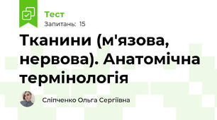 Тканини (м'язова, нервова). Анатомічна термінологія