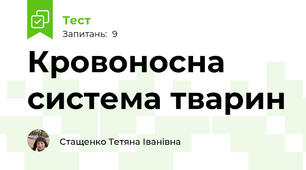 Кровоносна система тварин