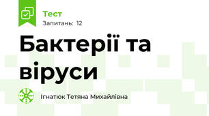 Бактерії та віруси