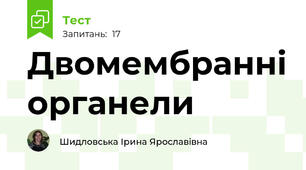 Двомембранні органели