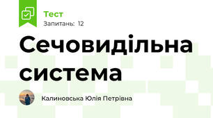 Сечовидільна система