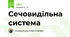 Сечовидільна система