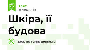 Шкіра, її будова