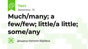 Much/many; a few/few; little/a little; some/any