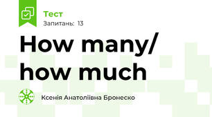 How many/ how much