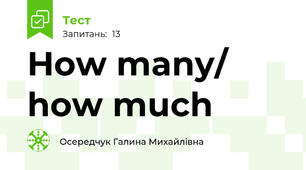  How many/ how much