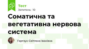 Соматична та вегетативна нервова система