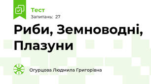 Риби, Земноводні, Плазуни