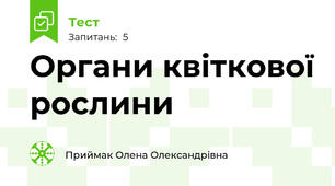  Органи квіткової рослини