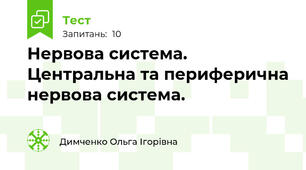 Нервова система. Центральна та периферична нервова система. 