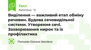 Виділення — важливий етап обміну речовин. Будова сечовидільної системи. Утворення сечі. Захворювання нирок та їх профілактика