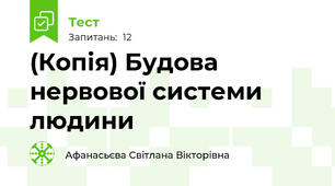 (Копія) Будова нервової системи людини
