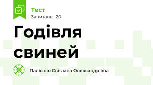 Годівля свиней