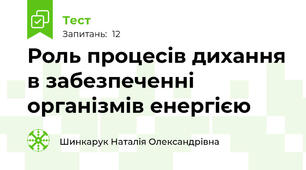 Роль процесів дихання в забезпеченні організмів енергією