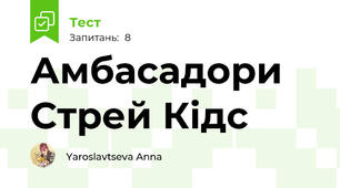 Амбасадори Стрей Кідс