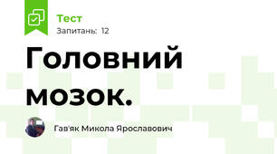 Головний мозок. 