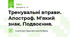 Тренувальні вправи. Апостроф. М'який знак. Подвоєння.