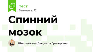 Спинний мозок