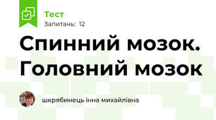 Спинний мозок. Головний мозок