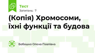 (Копія) Хромосоми, їхні функції та будова
