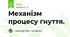 Механізм процесу гнуття.