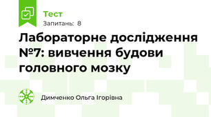 Лабораторне дослідження №7: вивчення будови головного мозку 