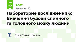 Лабораторне дослідження 6: Вивчення будови спинного та головного мозку людини
