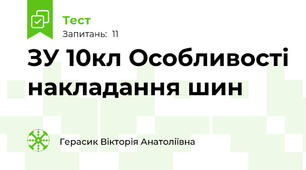 ЗУ 10кл Особливості накладання шин