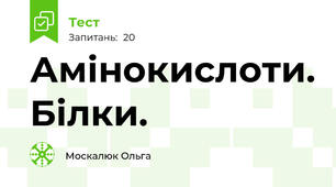 Амінокислоти. Білки.