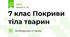 7 клас Покриви тіла тварин