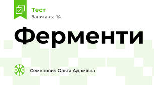 Ферменти