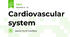 Cardiovascular system
