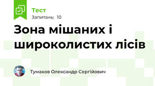 Зона мішаних і широколистих лісів