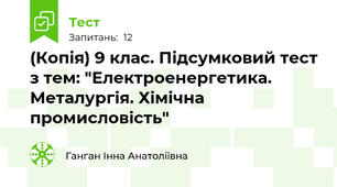 (Копія) 9 клас. Підсумковий тест з тем: "Електроенергетика. Металургія. Хімічна промисловість"
