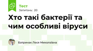 Хто такі бактерії та чим особливі віруси