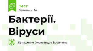 Бактерії. Віруси