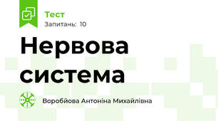 Нервова система
