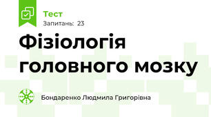 Фізіологія головного мозку