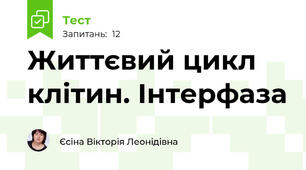 Життєвий цикл клітин. Інтерфаза