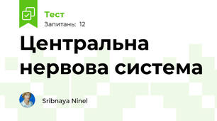 Центральна нервова система