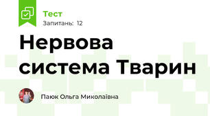 Нервова система Тварин