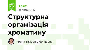 Структурна організація хроматину