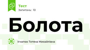 Болота
