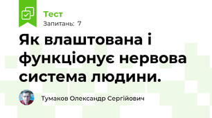 Як влаштована і функціонує нервова система людини.