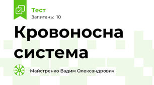 Кровоносна система