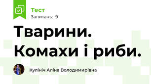 Тварини. Комахи і риби.