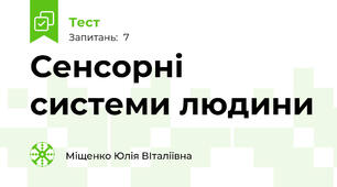 Сенсорні системи людини
