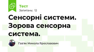 Сенсорні системи. Зорова сенсорна система.