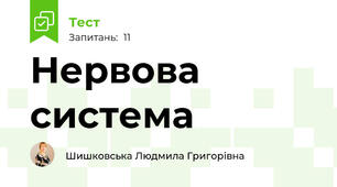 Нервова система