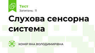 Слухова сенсорна система